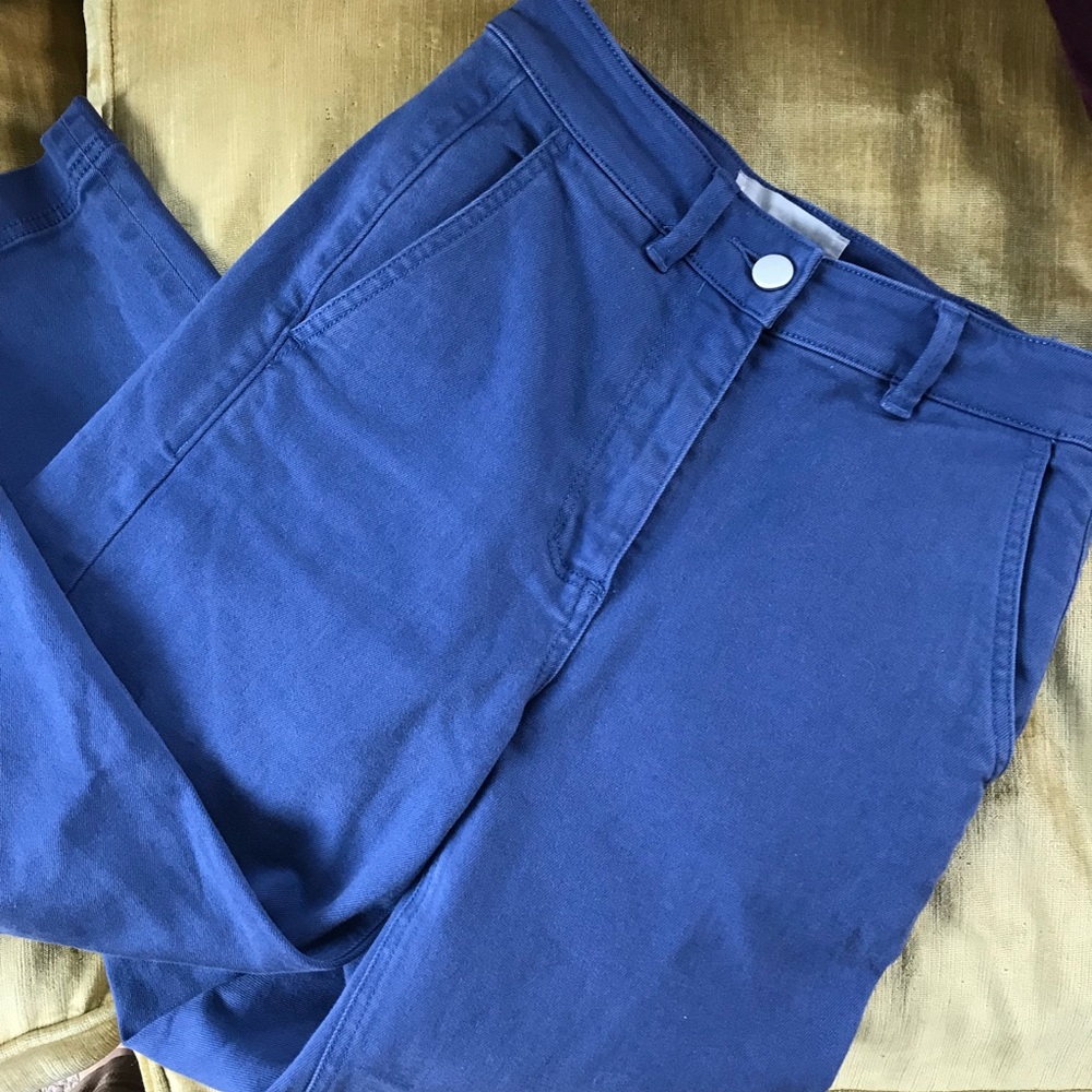 Everlane Cropped Wide Leg Pant